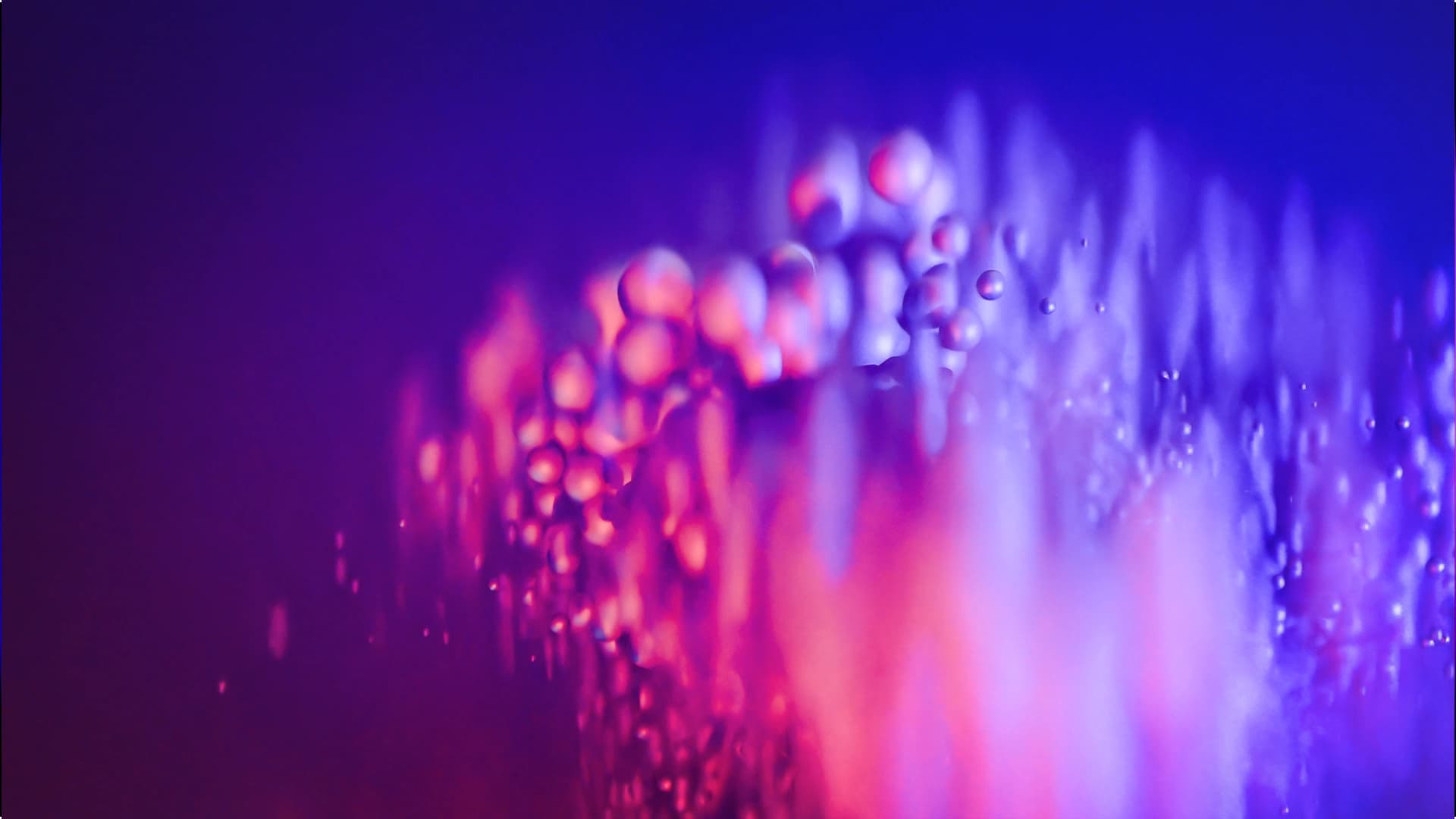 Lavalamp study — adjacent theme